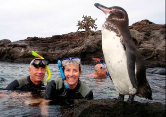Galapagos - Ecuador - Mashipura Viajes