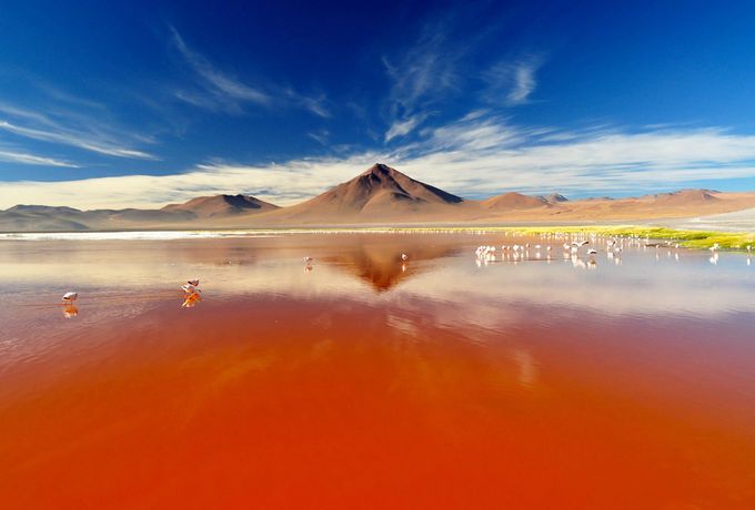 Laguna Colorada  Bolivia - Tour Mashipura Viajes